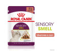 Royal Canin Sensory Smell вологий корм для стимуляції нюху котів - 85 г