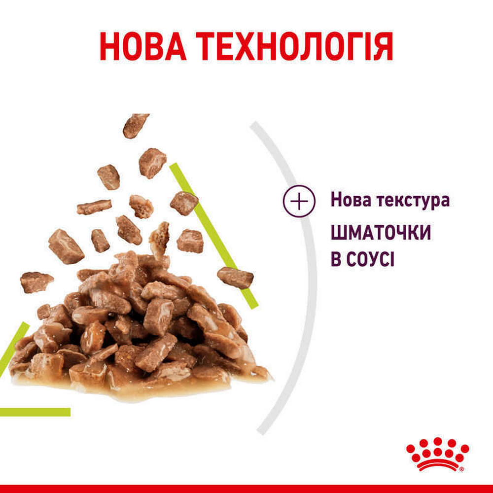 Royal Canin Sensory Smell вологий корм для стимуляції нюху котів - 85 г