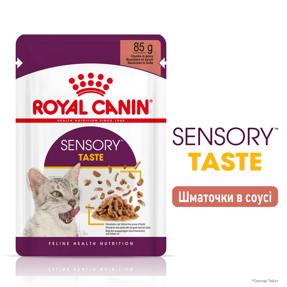 Royal Canin Sensory Taste вологий корм для стимуляції відчуття смаку у котів - 85 г