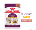 Royal Canin Sensory Taste вологий корм для стимуляції відчуття смаку у котів - 85 г