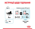 Royal Canin Sensory Feel вологий корм для котів - 85 г