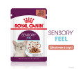 Royal Canin Sensory Feel вологий корм для котів - 85 г