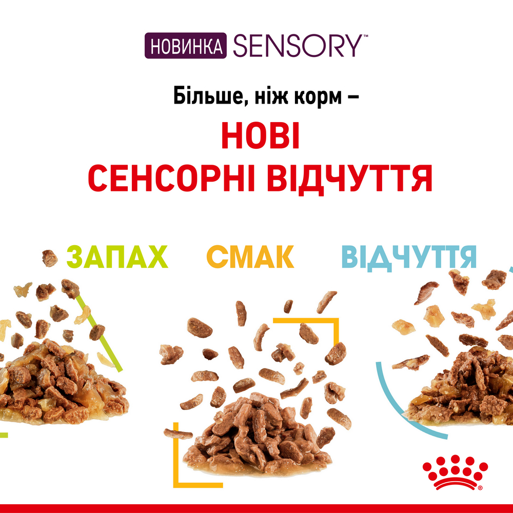 Royal Canin Sensory Smell in Jelly вологий корм для котів - 85 г