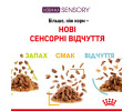 Royal Canin Sensory Smell in Jelly вологий корм для котів - 85 г