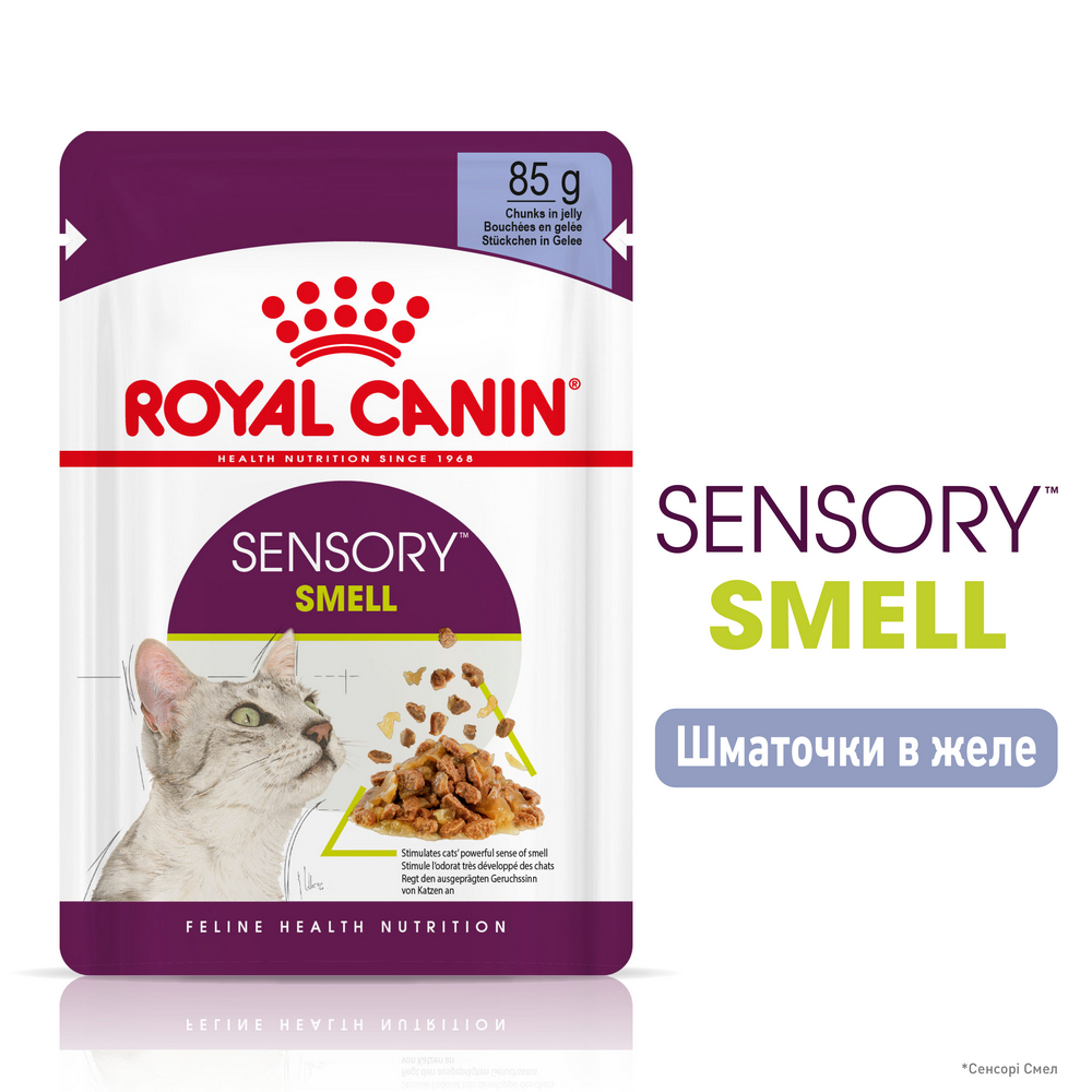 Royal Canin Sensory Smell in Jelly вологий корм для котів - 85 г