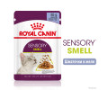 Royal Canin Sensory Smell in Jelly вологий корм для котів - 85 г