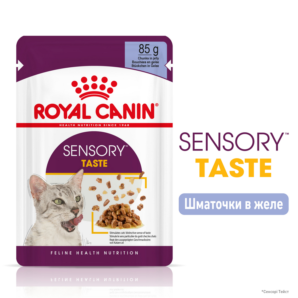 Royal Canin Sensory Taste in Jelly вологий корм для котів - 85 г