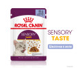 Royal Canin Sensory Taste in Jelly вологий корм для котів - 85 г