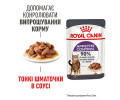 Royal Canin Appetite Control вологий корм для стерилізованих котів - 85 г