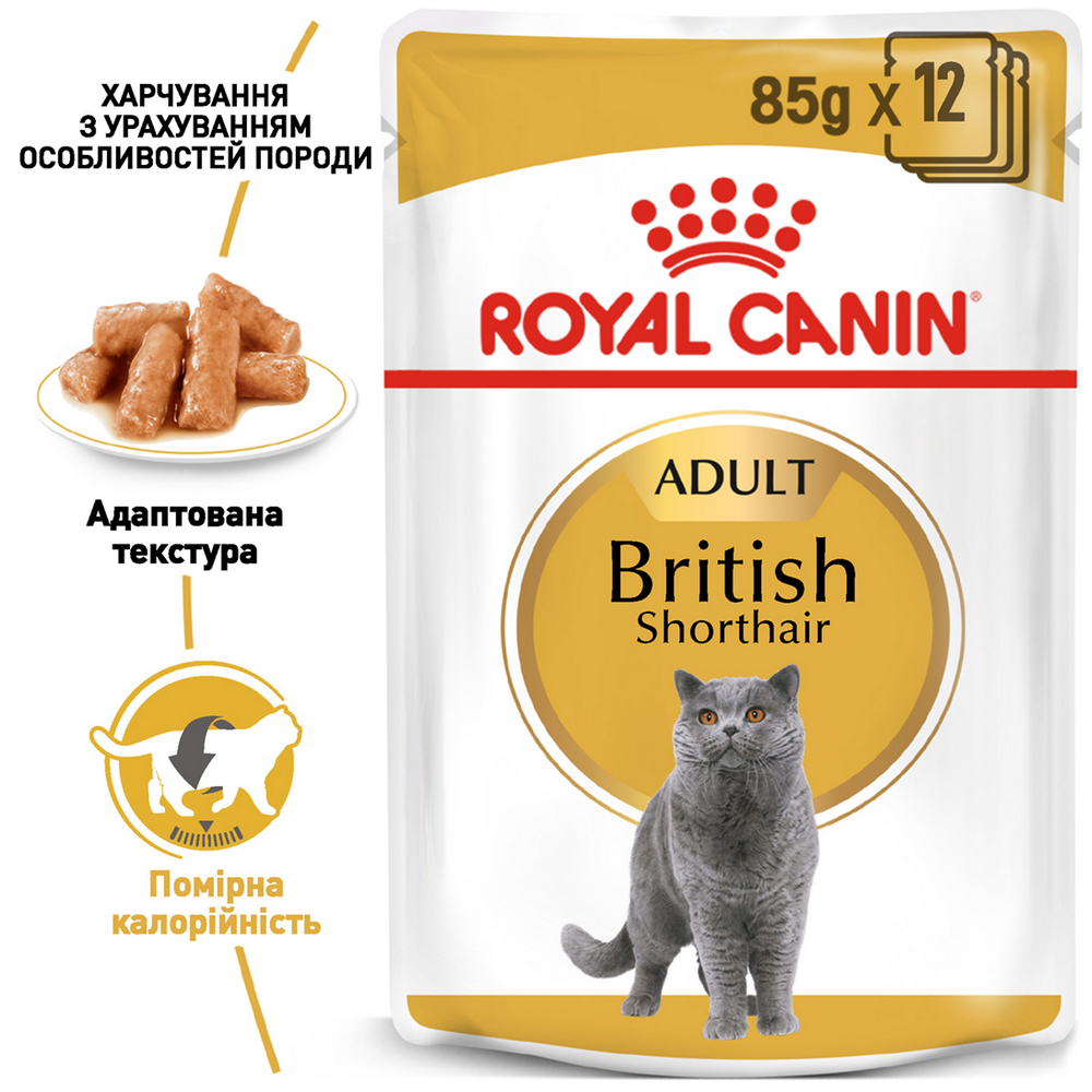 Royal Canin British Shorthair Adult вологий корм для котів британської короткошерстої породи - 85 г