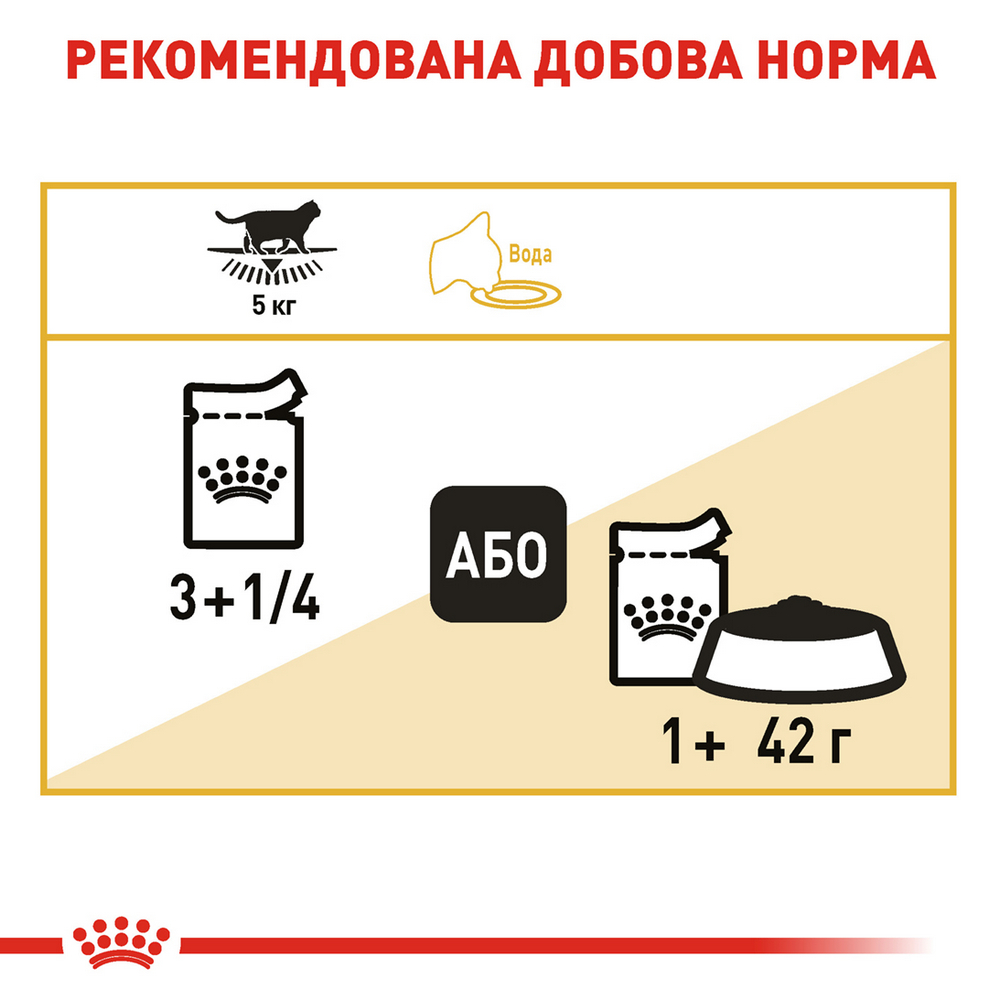 Royal Canin British Shorthair Adult вологий корм для котів британської короткошерстої породи - 85 г