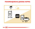 Royal Canin British Shorthair Adult вологий корм для котів британської короткошерстої породи - 85 г