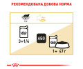 Royal Canin Maine Coon Adult вологий корм для котів породи мейн-кун- 85 г