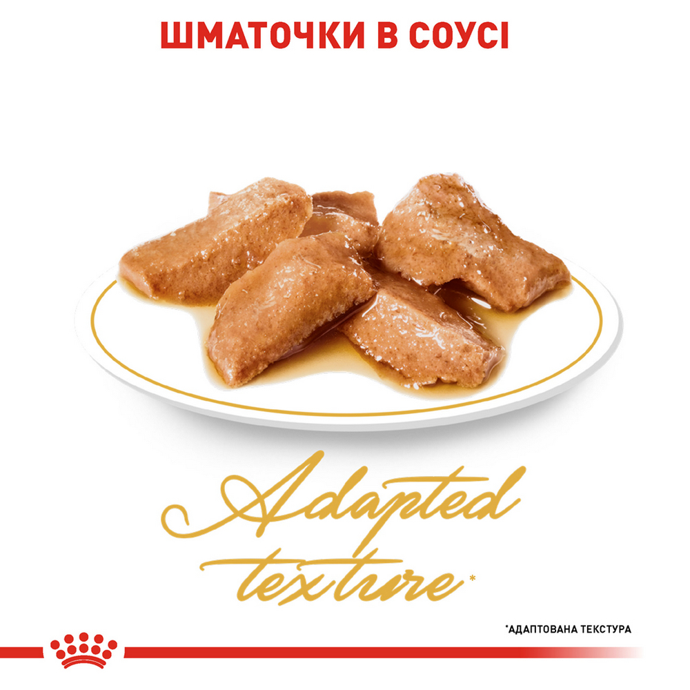 Royal Canin Maine Coon Adult вологий корм для котів породи мейн-кун- 85 г