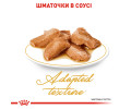 Royal Canin Maine Coon Adult вологий корм для котів породи мейн-кун- 85 г
