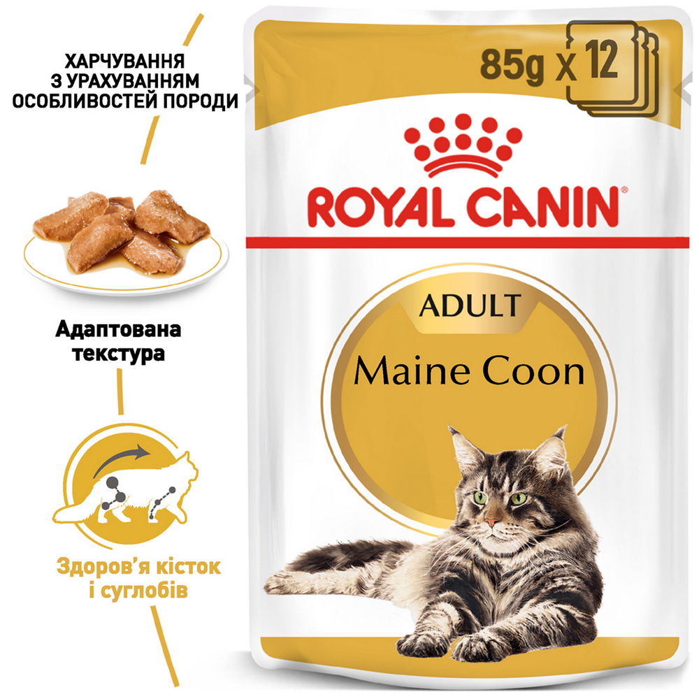 Royal Canin Maine Coon Adult вологий корм для котів породи мейн-кун- 85 г