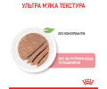Royal Canin Mother & Babycat вологий для кошенят та дорослих котів - 195 г