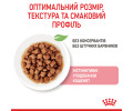 Royal Canin Kitten Gravy вологий корм для кошенят - 85 г