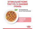 Royal Canin Kitten Jelly вологий корм для кошенят - 85 г