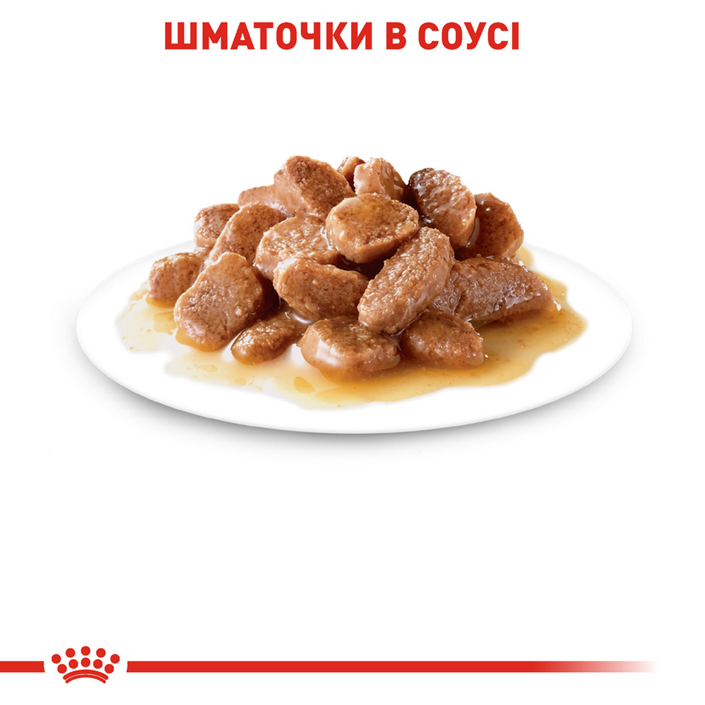 Royal Canin Instinctive Gravy корм для підтримання здоров'я сечовидільної системи котів - 85 г