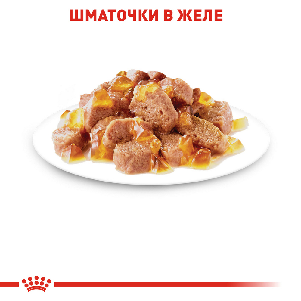 Royal Canin Instinctive Jelly корм для підтримання здоров'я сечовидільної системи котів - 85 г