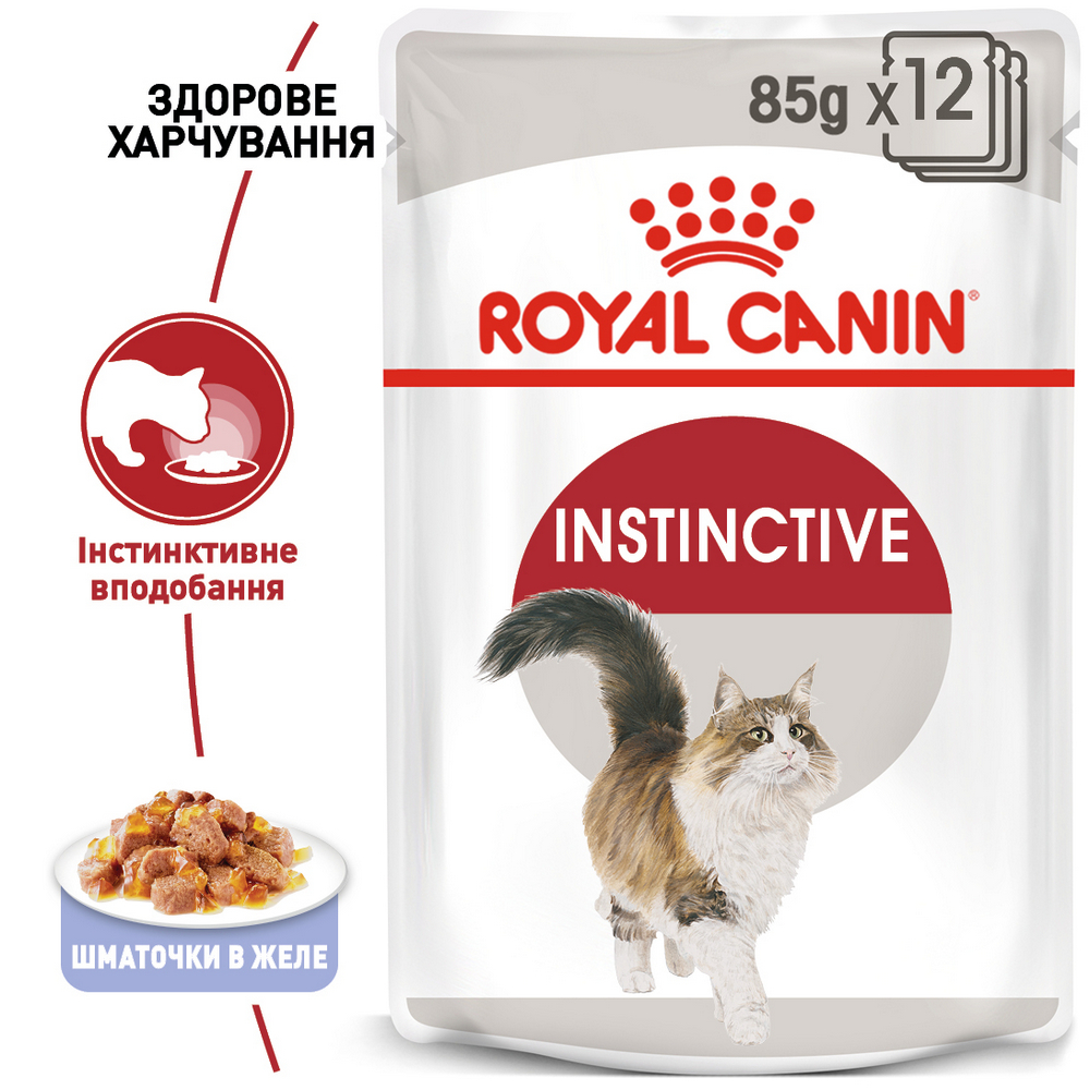 Royal Canin Instinctive Jelly корм для підтримання здоров'я сечовидільної системи котів - 85 г