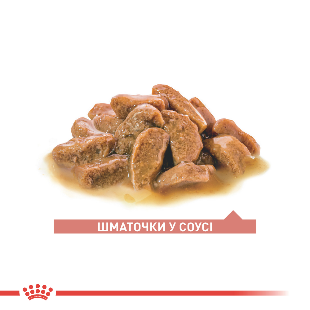 Royal Canin Ageing 11+ вологий корм для літніх котів віком від 11 років - 85 г