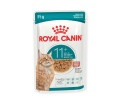 Royal Canin Ageing 11+ вологий корм для літніх котів віком від 11 років - 85 г