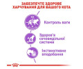 Royal Canin Sterilised Gravy вологий корм для стерилізованих котів - 85 г