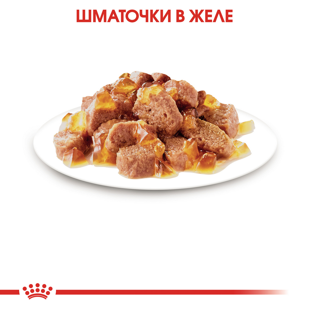 Royal Canin Sterilised Jelly вологий корм для стерилізованих котів - 85 г