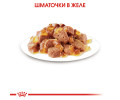 Royal Canin Sterilised Jelly вологий корм для стерилізованих котів - 85 г