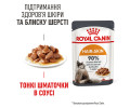 Royal Canin Hair & Skin Care Gravy вологий корм для здоров’я шкіри та шерсті котів - 85 г