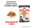 Royal Canin Hair & Skin Care Jelly вологий корм для здоров’я шкіри та шерсті котів - 85 г