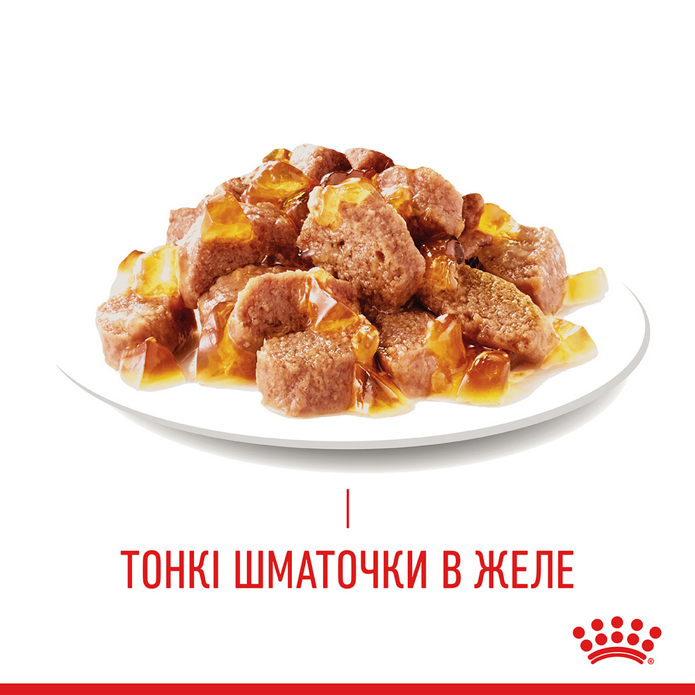 Royal Canin Hair & Skin Care Jelly вологий корм для здоров’я шкіри та шерсті котів - 85 г