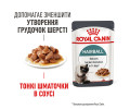 Royal Canin Hairball Care вологий корм для виведення шерсті у котів - 85 г