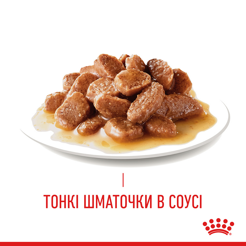 Royal Canin Digest Sensitive вологий корм для котів з чутливим травленням - 85 г