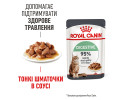 Royal Canin Digest Sensitive вологий корм для котів з чутливим травленням - 85 г