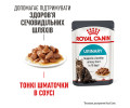 Royal Canin Urinary Care вологий корм для здоров’я сечовидільної системи котів - 85 г
