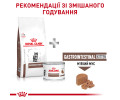 Royal Canin Gastrointestinal Kitten дієта для кошенят при порушеннях травлення - 400 г