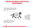 Royal Canin Gastrointestinal Kitten дієта для кошенят при порушеннях травлення - 400 г