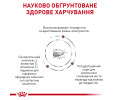 Royal Canin Gastrointestinal Kitten дієта для кошенят при порушеннях травлення - 2 кг