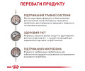 Royal Canin Gastrointestinal Kitten дієта для кошенят при порушеннях травлення - 2 кг