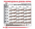 Royal Canin Gastrointestinal Kitten дієта для кошенят при порушеннях травлення - 2 кг