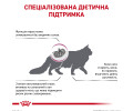 Royal Canin Early Renal дієта при захворюваннях нирок у літніх котів - 400 г
