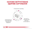 Royal Canin Early Renal дієта при захворюваннях нирок у літніх котів - 400 г