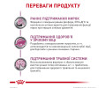 Royal Canin Early Renal дієта при захворюваннях нирок у літніх котів - 400 г