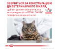 Royal Canin Early Renal дієта при захворюваннях нирок у літніх котів - 400 г