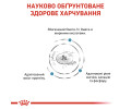 Royal Canin Skin & Coat дієта для котів при дерматозах та випадінні шерсті - 400 г