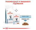 Royal Canin Skin & Coat дієта для котів при дерматозах та випадінні шерсті - 1.5 кг