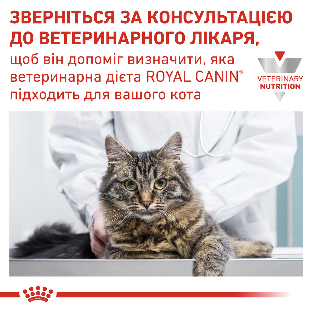 Royal Canin Skin & Coat дієта для котів при дерматозах та випадінні шерсті - 1.5 кг
